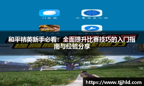 333体育官网