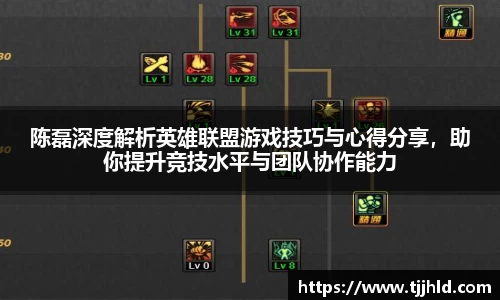 333体育官网