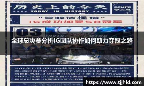 333体育官网