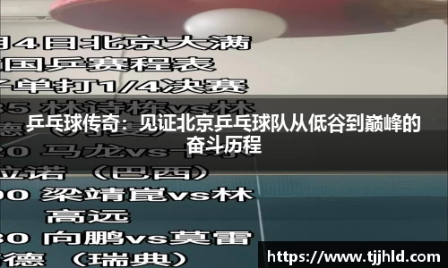 333体育app登录入口