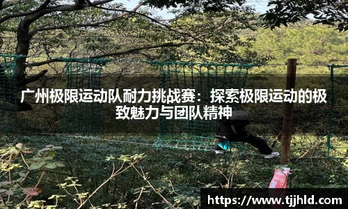 333体育app登录入口