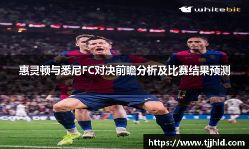 惠灵顿与悉尼FC对决前瞻分析及比赛结果预测
